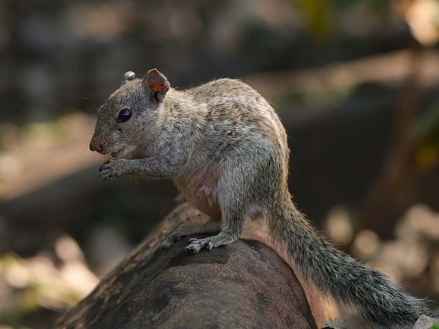 什么驾校比较正规一位金牌教练的冷静内行名单 什么驾校比较正规一位金牌教练的冷静内行名单
