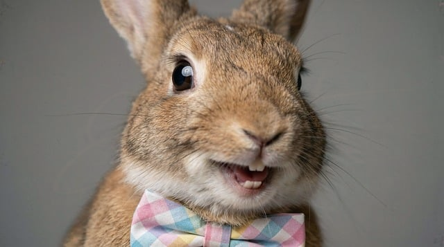 驾驶证实习期多长时间2026新规下新手司机最容易忽略的细节说明书