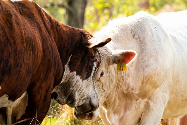 驾照实习期是多久2026年新规下，新手司机最容易忽略的细节都在这