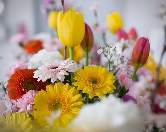 科目一包过口诀技巧：驾校教研员的实战心法与避坑指南