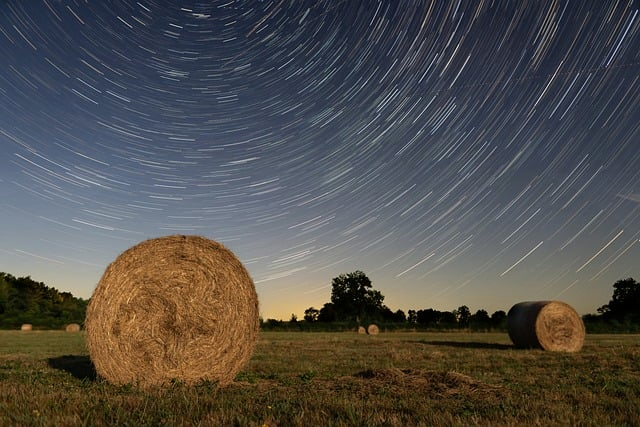 驾驶证期满换证可以提前几个月窗口工作人员把时间、流程和容易踩的坑一次说清