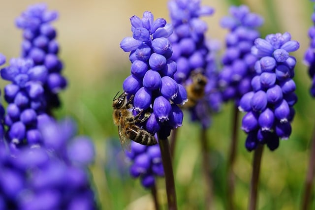 科目一考试技巧口诀表:老教练徐砺舟的一套“稳过心法” 科目一考试技巧口诀表:老教练徐砺舟的一套“稳过心法”