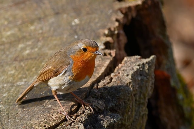 新手必看：驾驶证实习期多少分才会被扣完2026最新扣分规则一文讲透