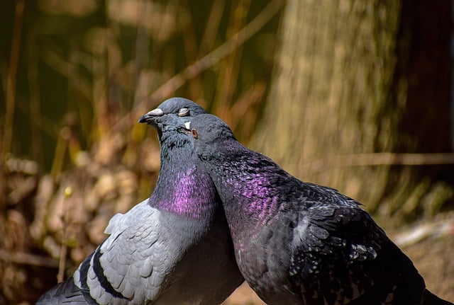 驾驶证实习期，真正坑人的不是规定，而是这些被忽略的细节风险