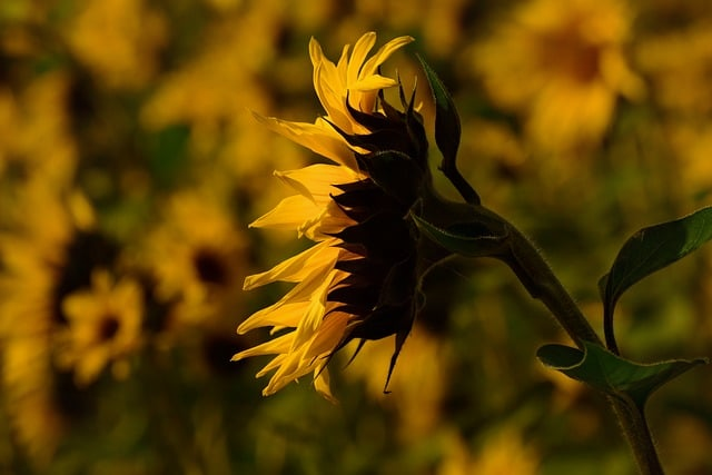驾校能不能转到别的驾校教练不说的3个真相,别被一句“麻烦”劝退了 驾校能不能转到别的驾校教练不说的3个真相,别被一句“麻烦”劝退了