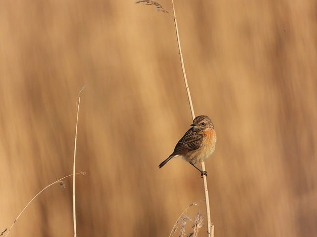 交警当面敲黑板：c1驾照扣分新规交警提醒，太多人还蒙在鼓里